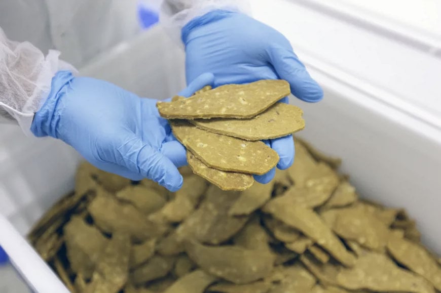 BRAZILIAN PET FOOD COMPANY EXPERIENCES EXPONENTIAL GAINS WITH MAREL REVOPORTIONER